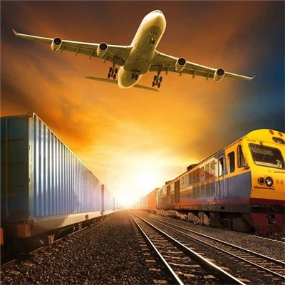 Bisakah pengirim angkutan udara membantu dokumentasi ekspor/impor?